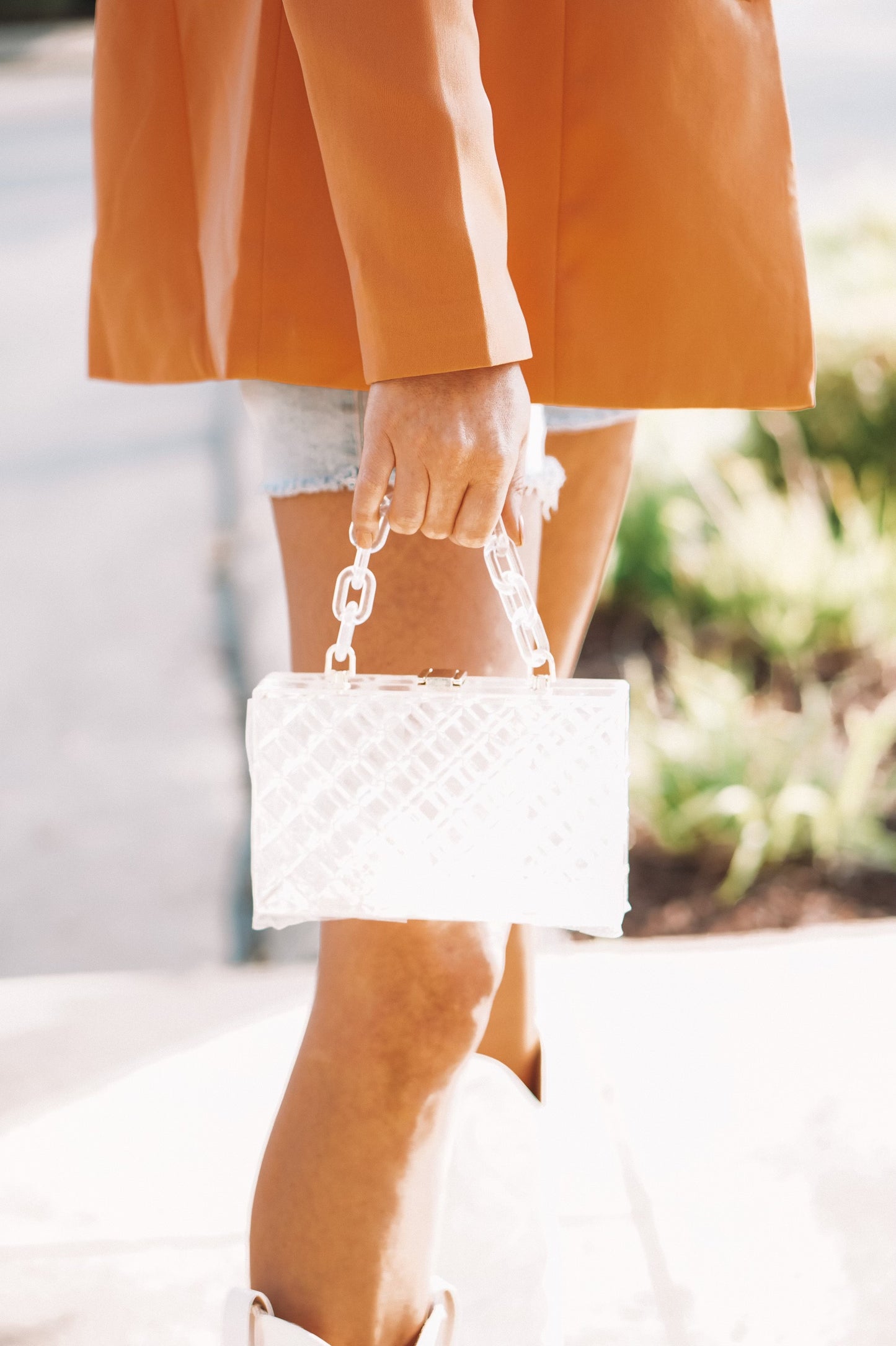 Clear Box Clutch Medium