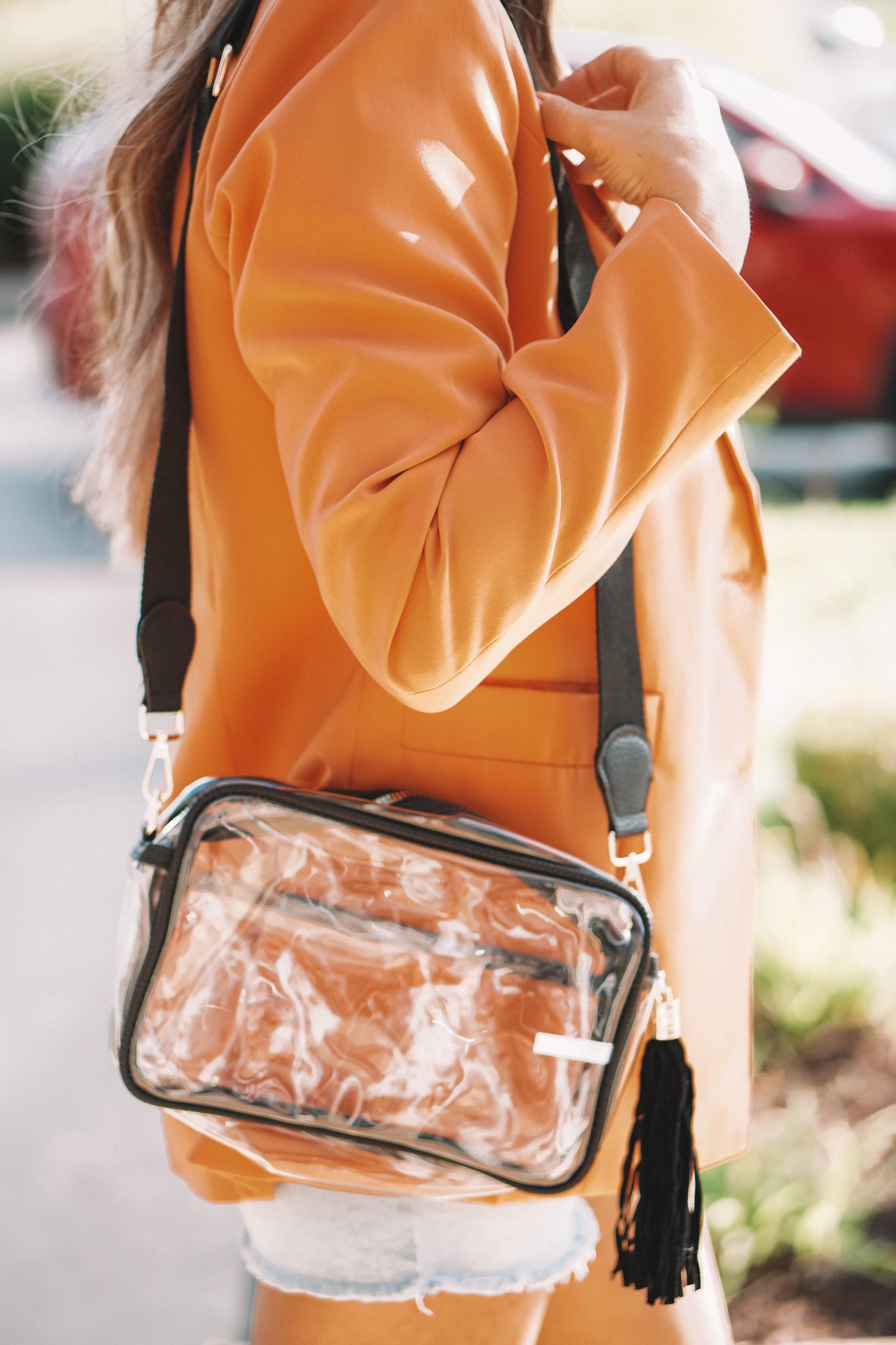 Game Day Clear Bags
